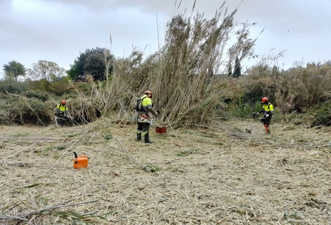 La Diputació de Tarragona impulsa la inserció laboral de col·lectius vulnerables amb 300.000 euros per a espais naturals