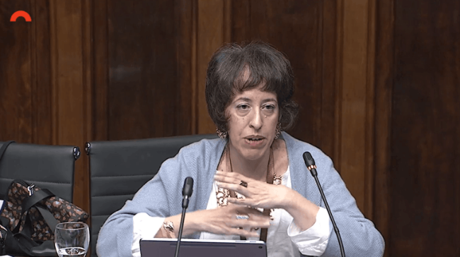 ECOM exigeix que la nova llei de taxis i VTC garanteixi l’accés en igualtat de condicions de les persones amb discapacitat